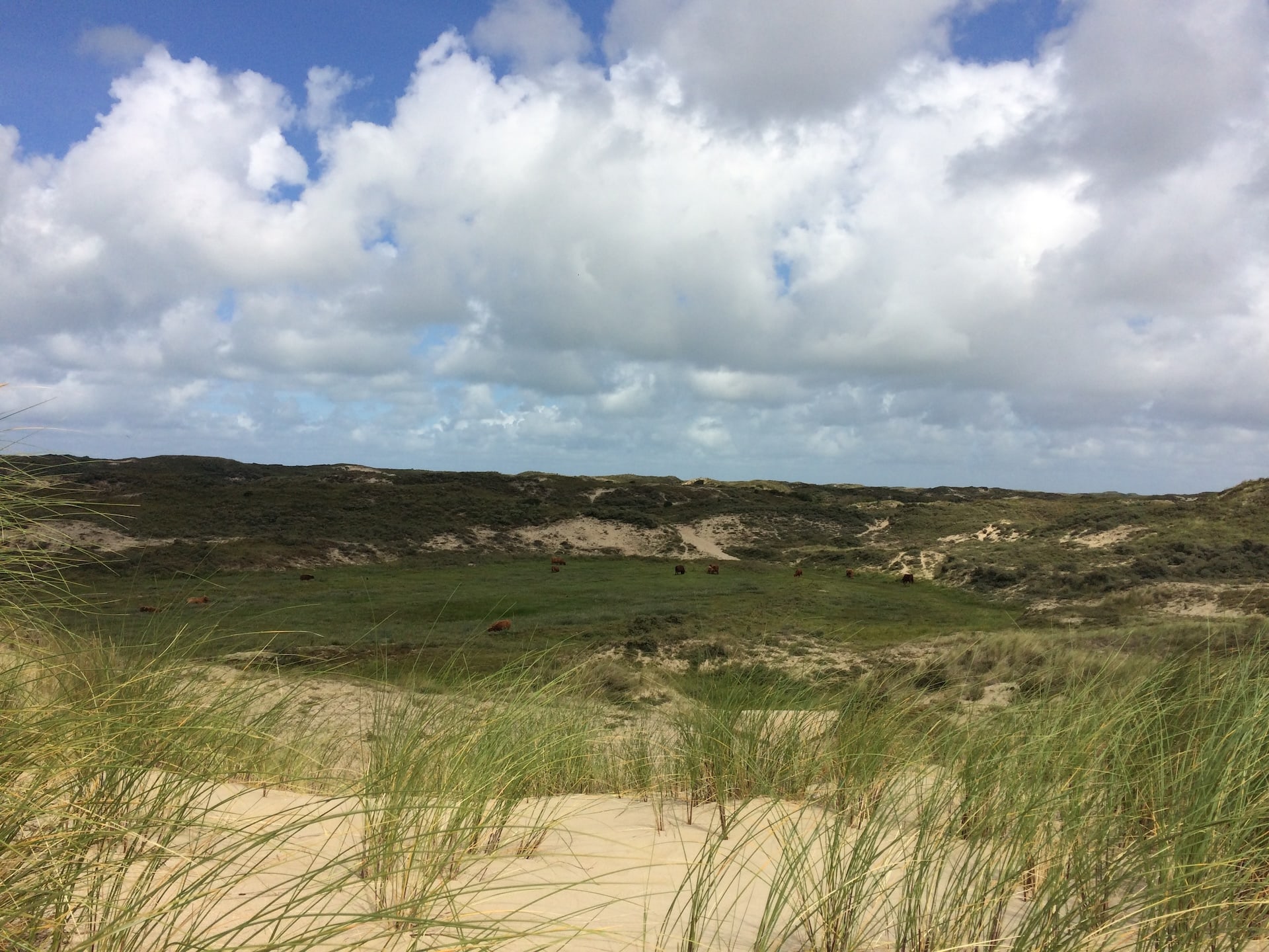 zee-en-meer-omgeving-5